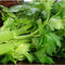 Organic Celery (1 bunch)