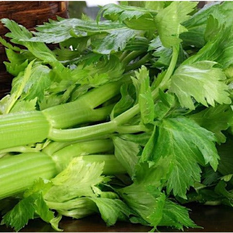 Organic Celery (1 bunch)