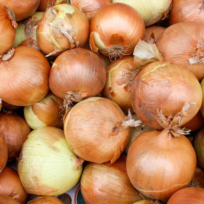 Organic Onions