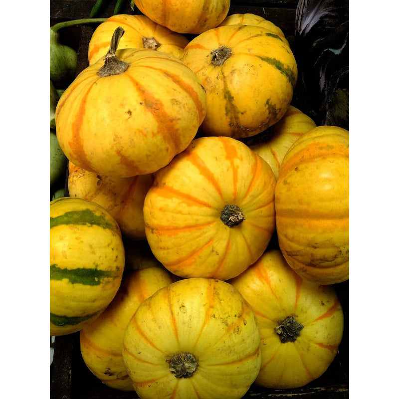 Organic Pumpkin