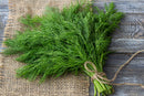 organic Dill (1 bunch)