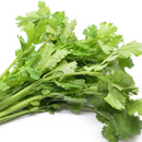 Organic Coriander 1 bunch