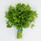 Organic Parsley 1 bunch