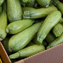 Organic Zucchini